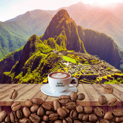 Plantacja kawy w Peru